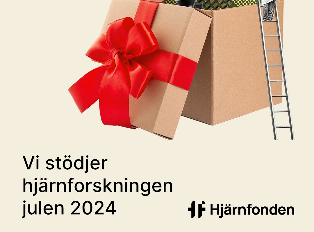 Vi stödjer hjärnforskningen julen 2024